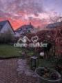 Abendgarten hinter dem Haus