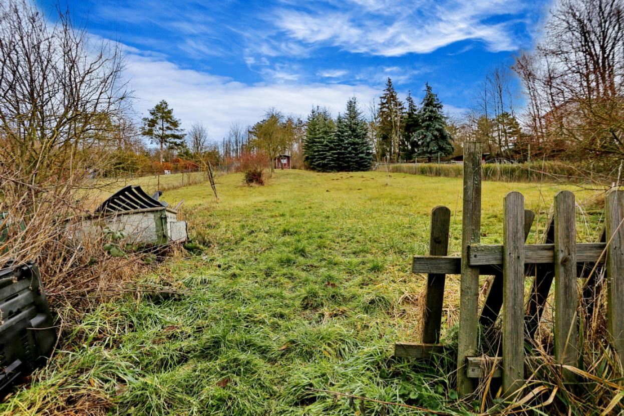 Garten 1