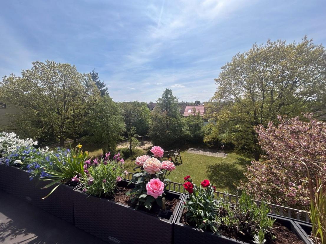 Ausblick von der Terrasse