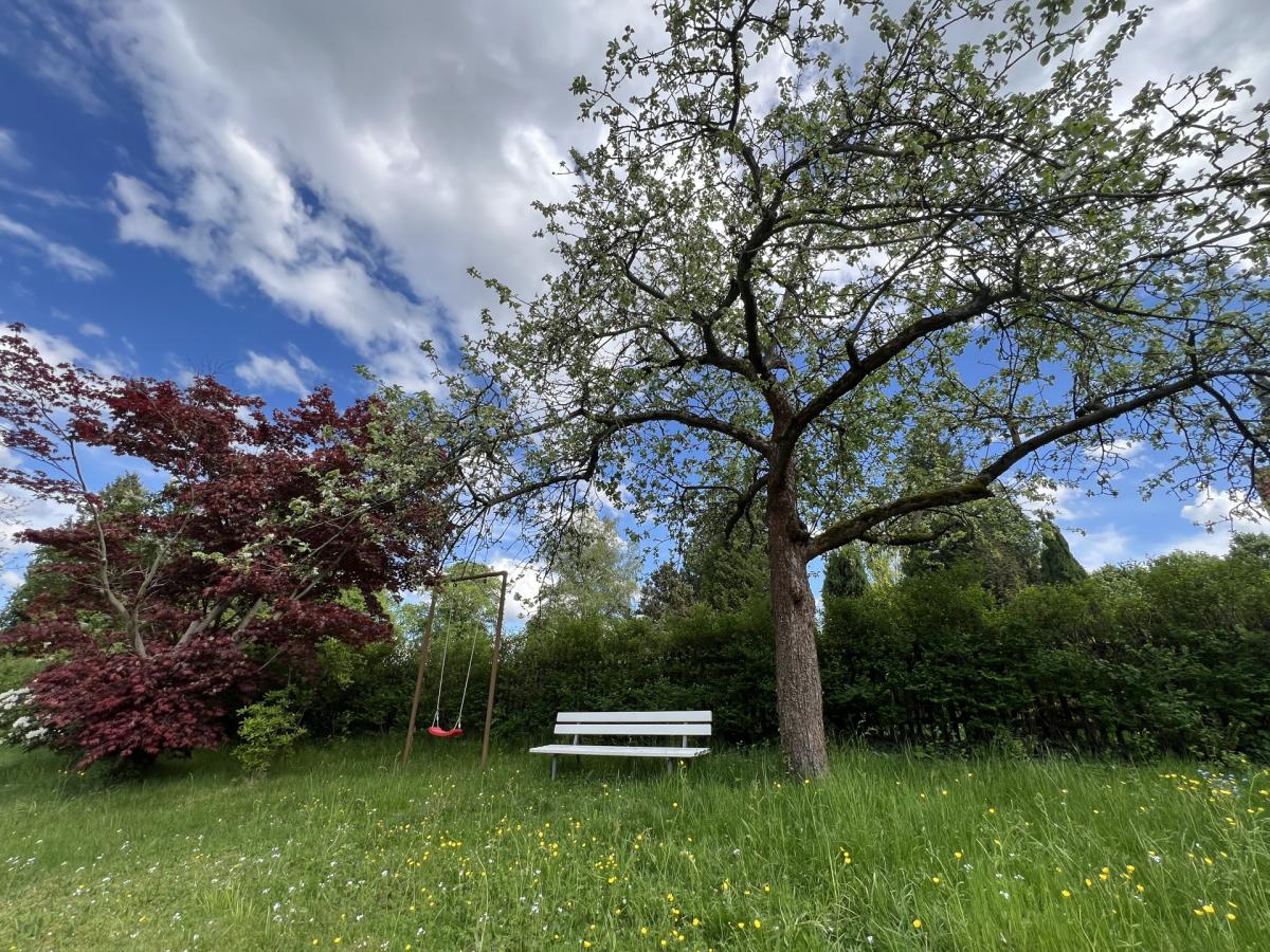 Garten