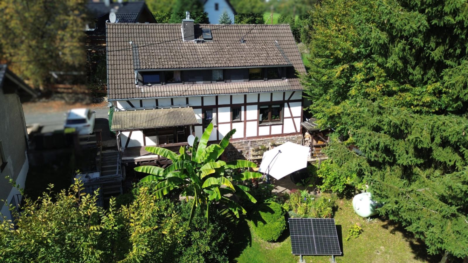 Garten im Sommer