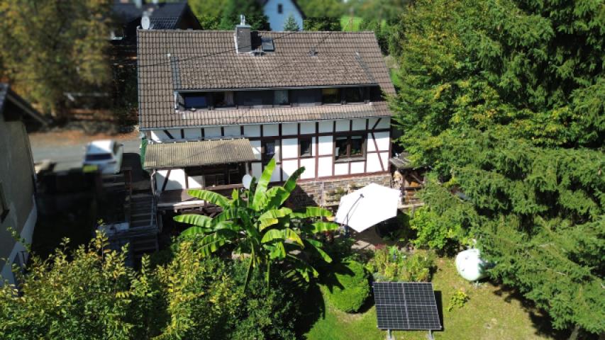 Garten im Sommer