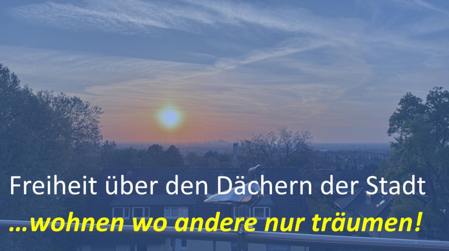 Fernblick
