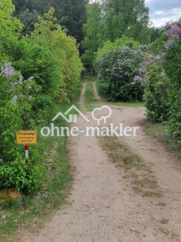 Waldweg zum Bootshaus