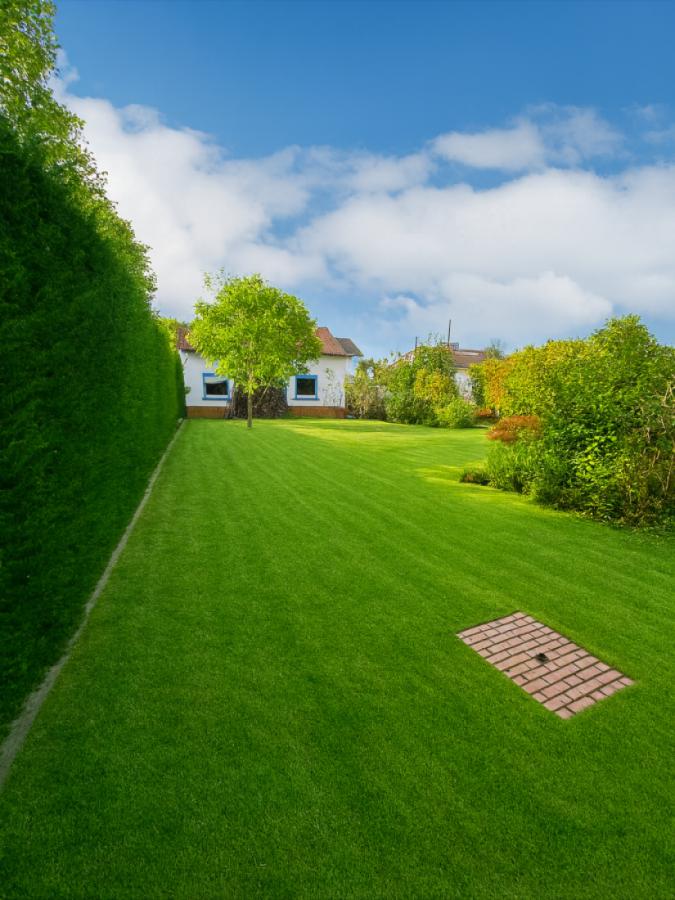Garten
