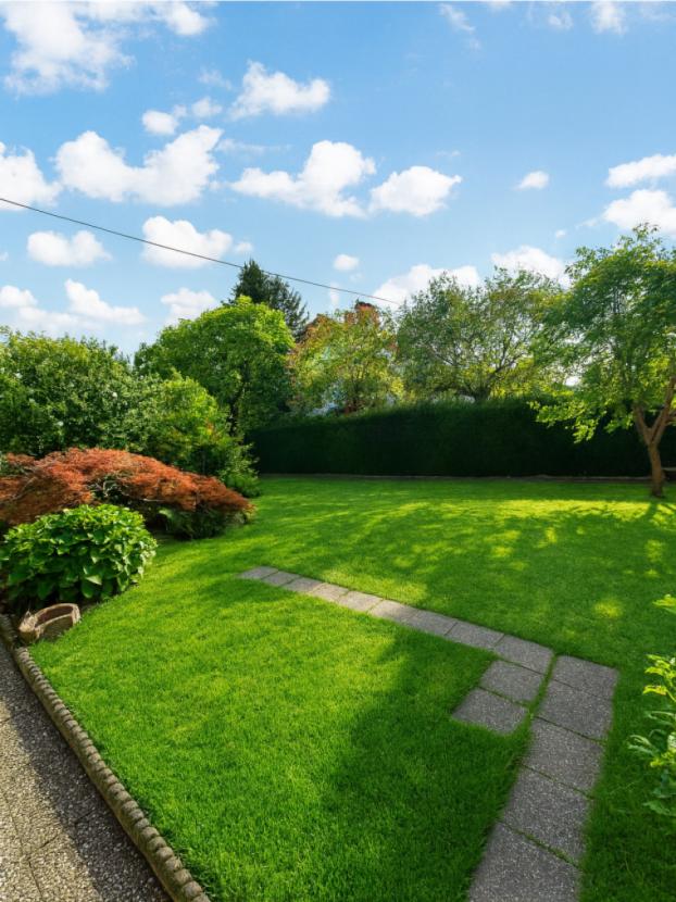 Garten 