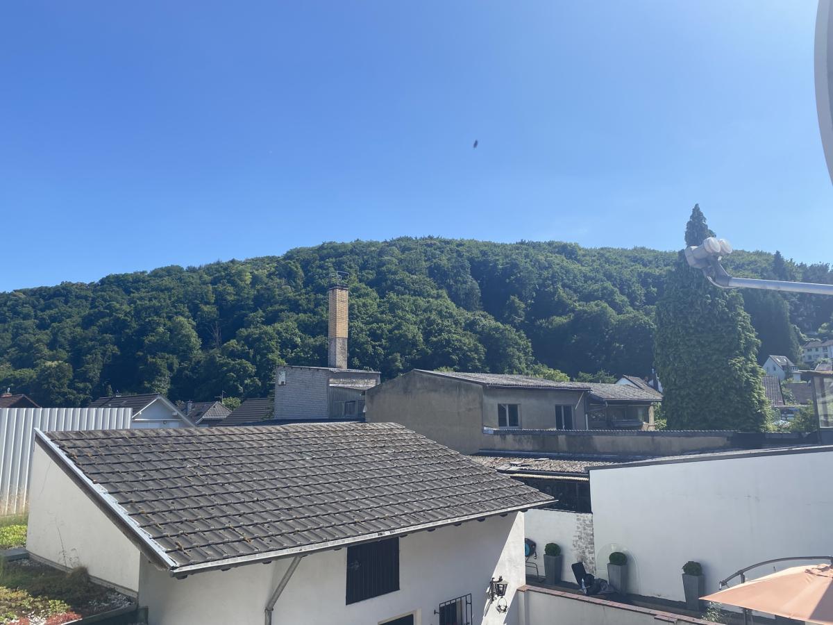 Ausblick vom Balkon