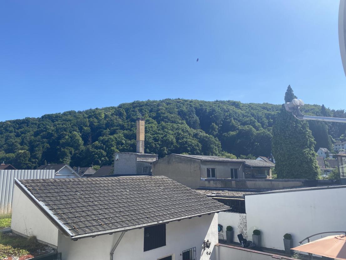 Ausblick vom Balkon