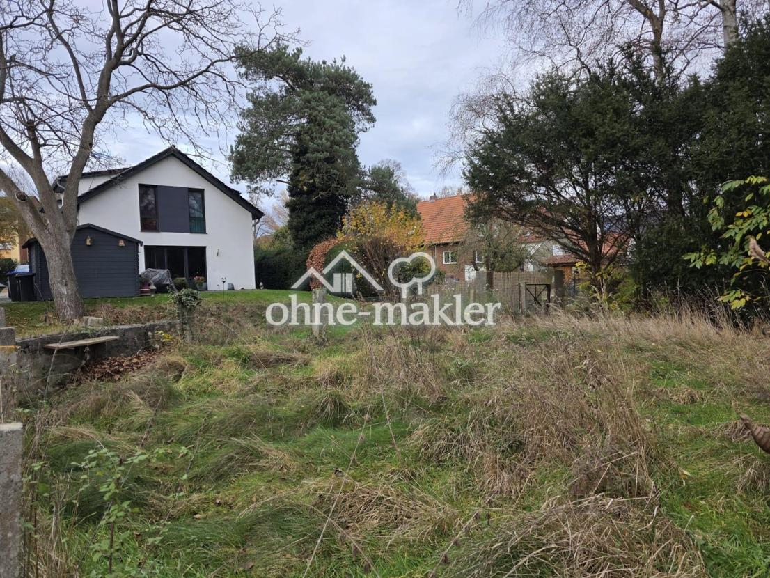 Gesamter Garten