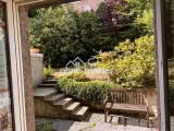 EG-Aussicht in den Garten