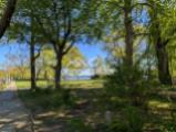 Park am Wasser