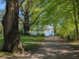 Blick zum Wasser