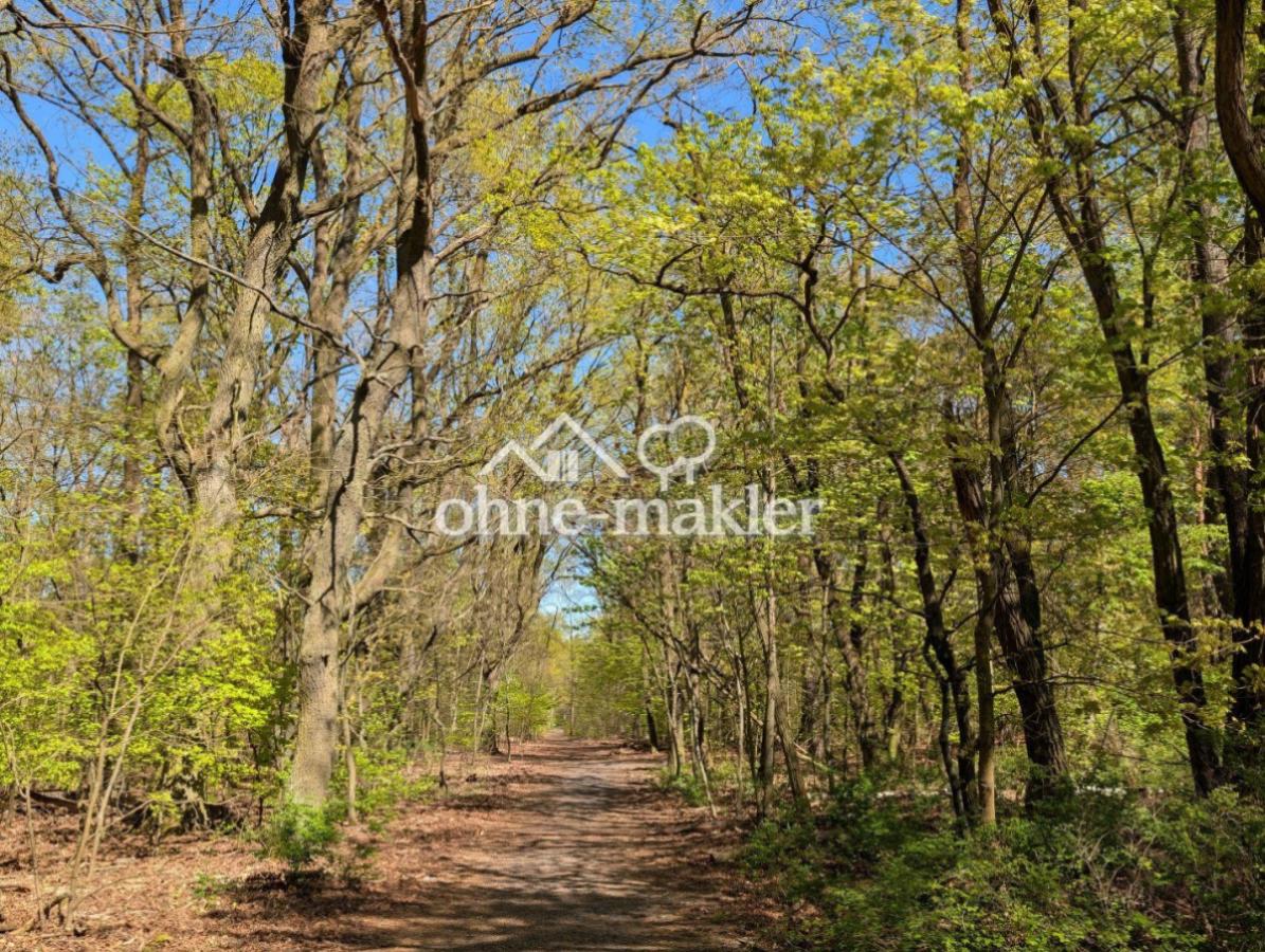 Wald