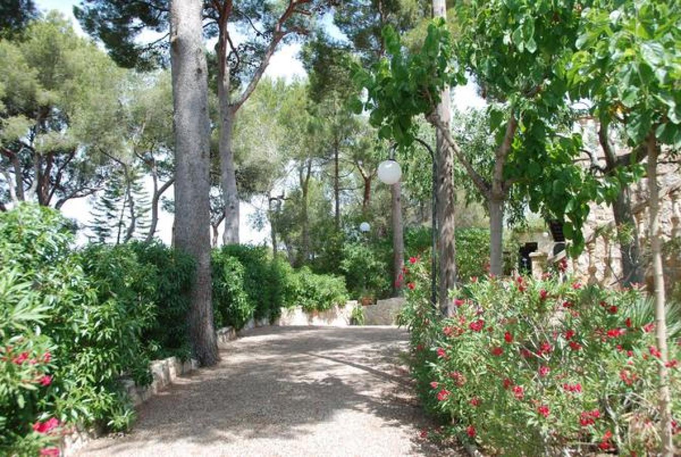 Gartenanlage