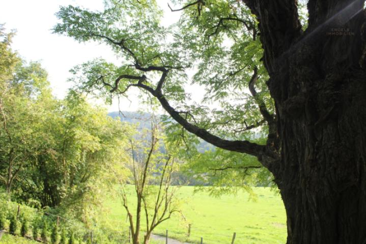 Natur pur