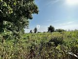 Weitblick
