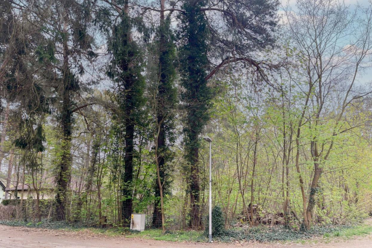 Ansicht Grundstück 2