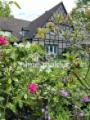 Gartenansicht