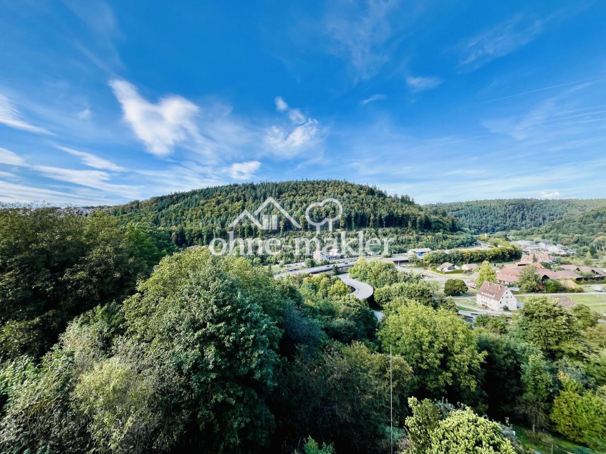 Ausblick Speicher (DG)