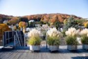 oberste Dachterrasse