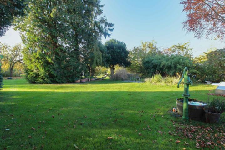 Blick in den Garten (2)