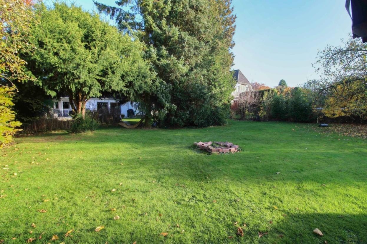 Blick in den Garten