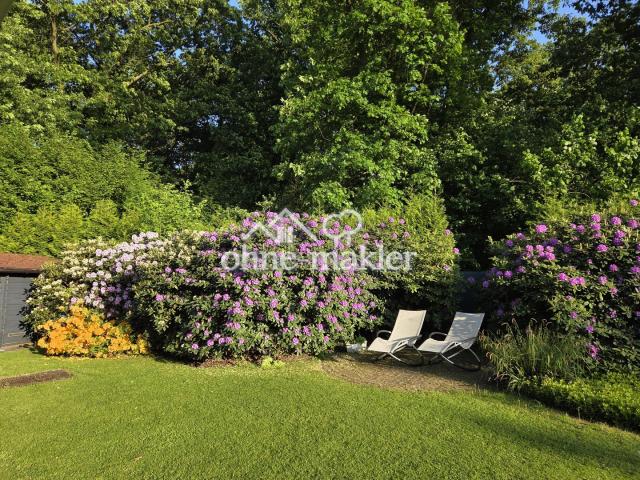 Ruheterrasse Rhododendren