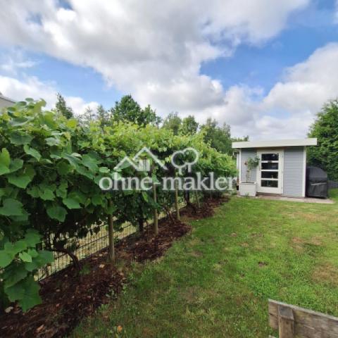 Garten - Gartenhaus- Weinreben