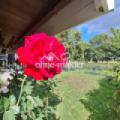 Impressionen - Garten