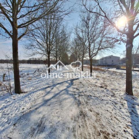 Winterimpressionen - Allee