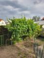 Kleiner Garten