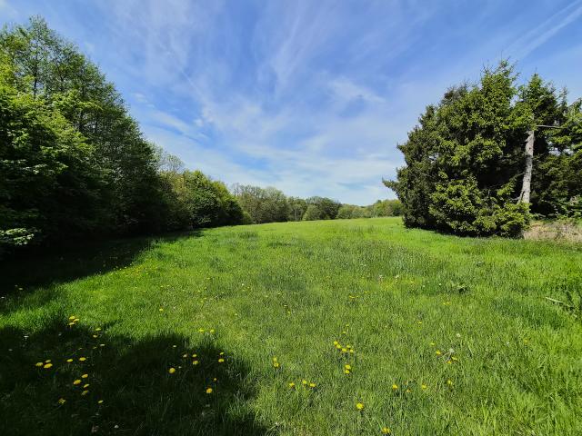Grünland hinter dem Haus