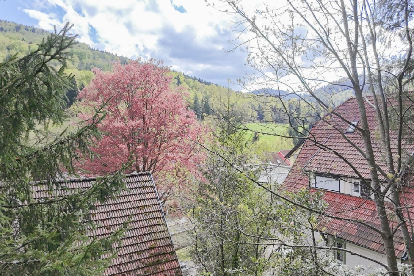 Aussicht vom Garten_