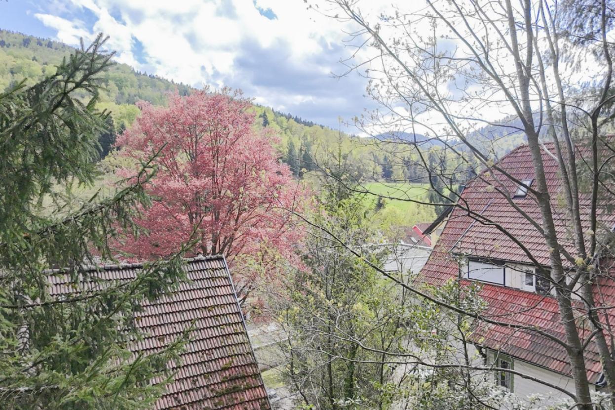 Aussicht vom Garten_