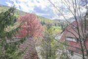 Aussicht vom Garten_