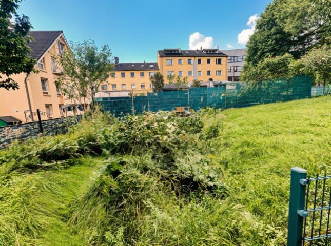 Garten hinterm Haus