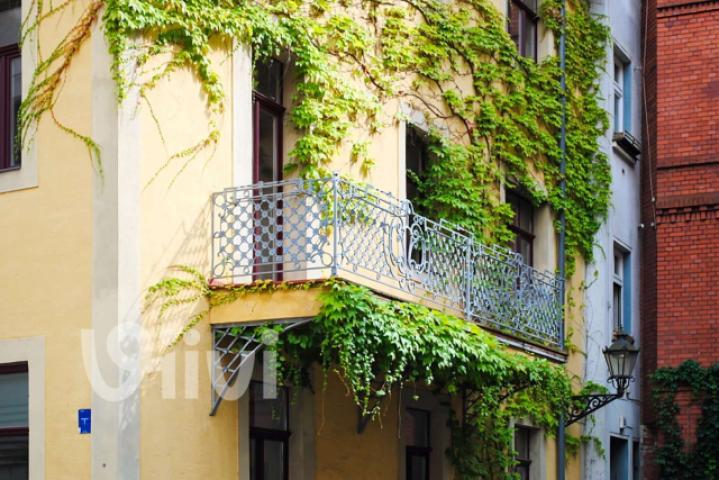 Balkon / balcony