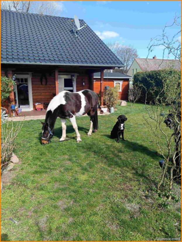 auch unser Zuhause