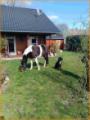 auch unser Zuhause