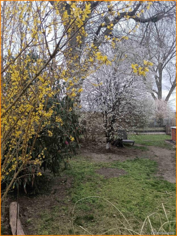 im Garten