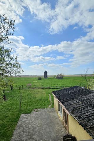 Ausblick
