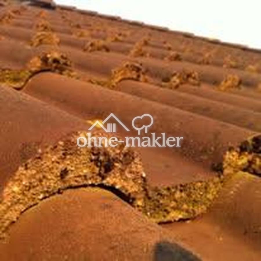 Dachpfannen