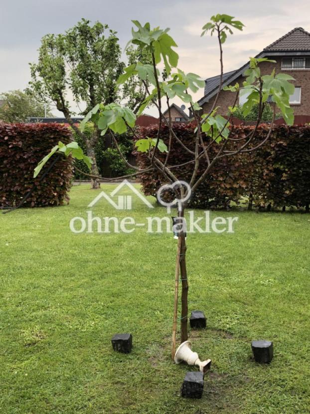 Feigenbaum