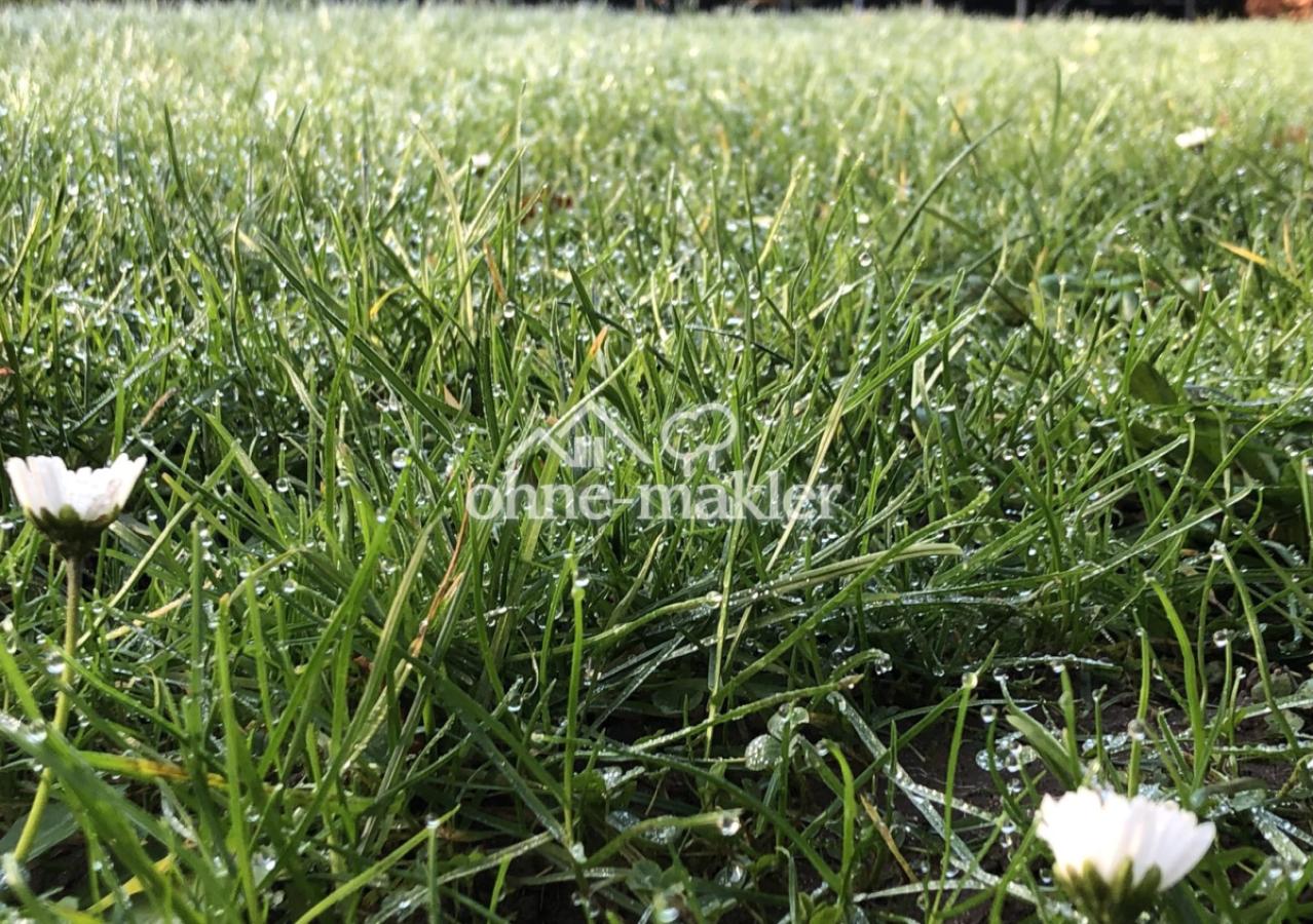 Gartenrasen