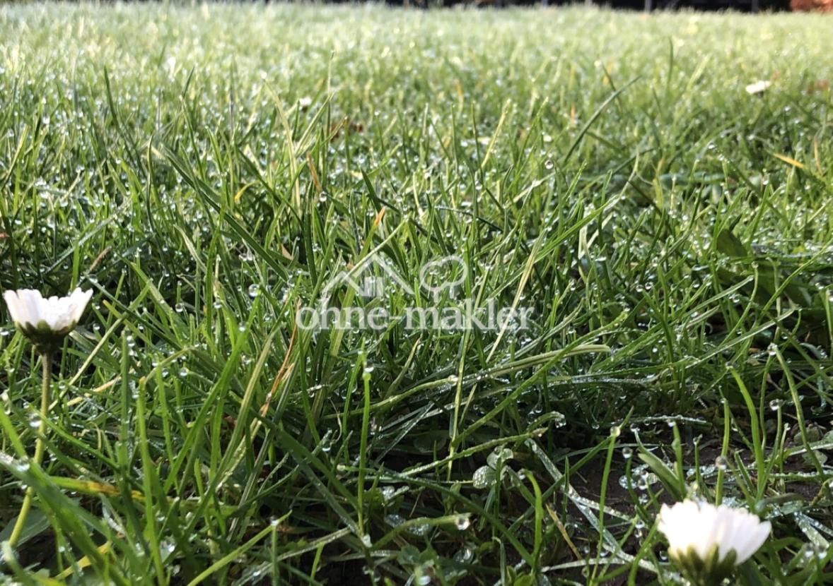 Gartenrasen