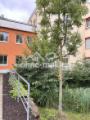 Hauseingang mit Bachlauf