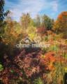 Garten Herbst