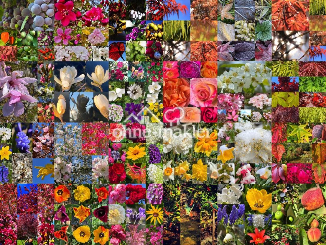 Blüten