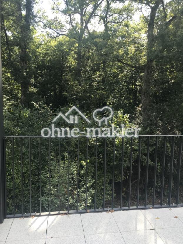 Ausblick vom Balkon
