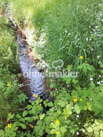 Bachlauf